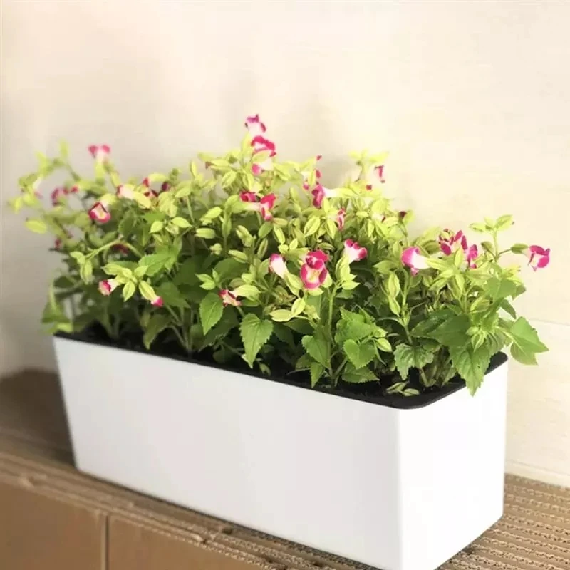 Automatic Plant Waterer - Rectangula Lazy Flower Pot Potted Hydroponic